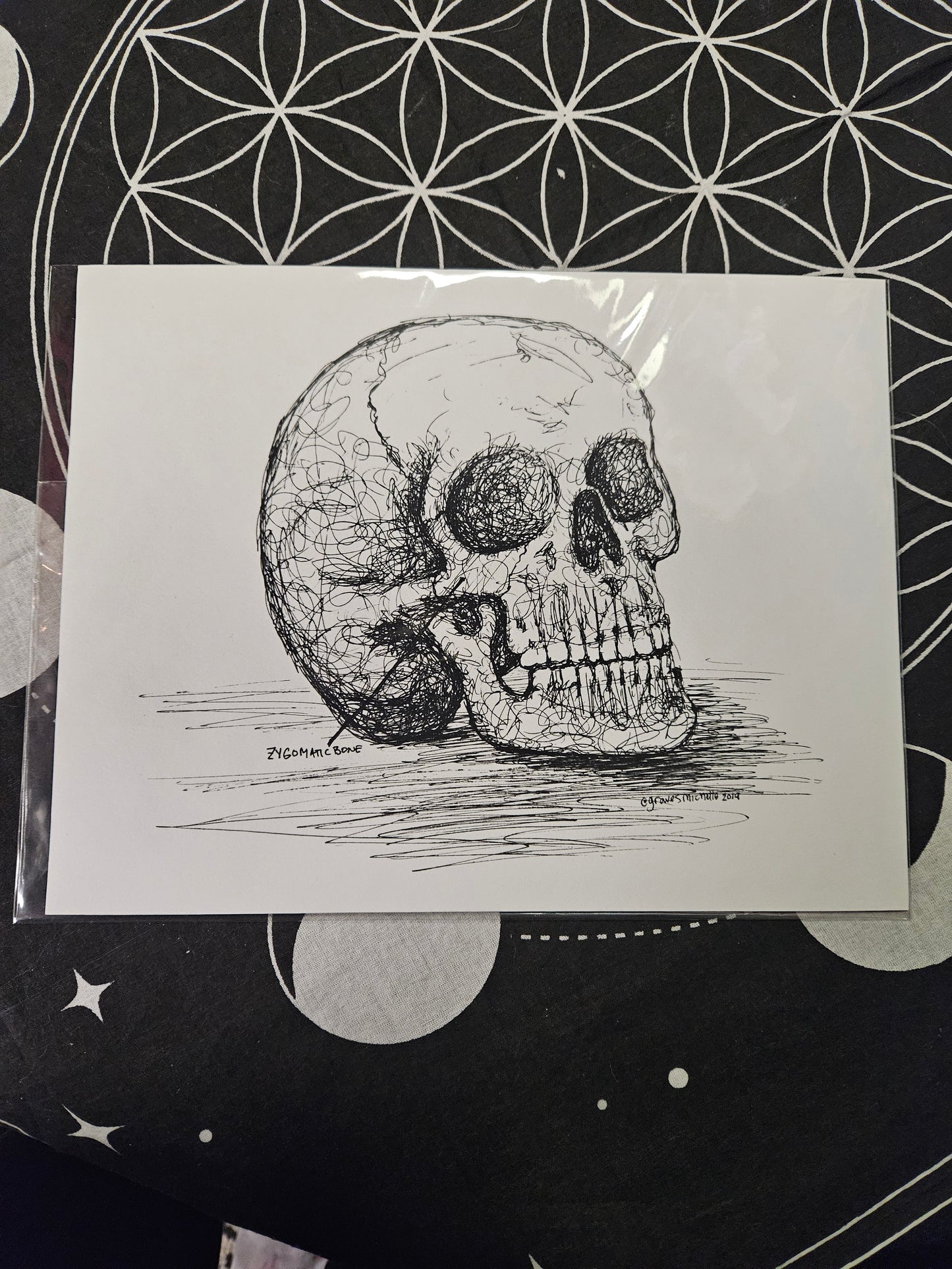 Zygomatic Bone Art Print