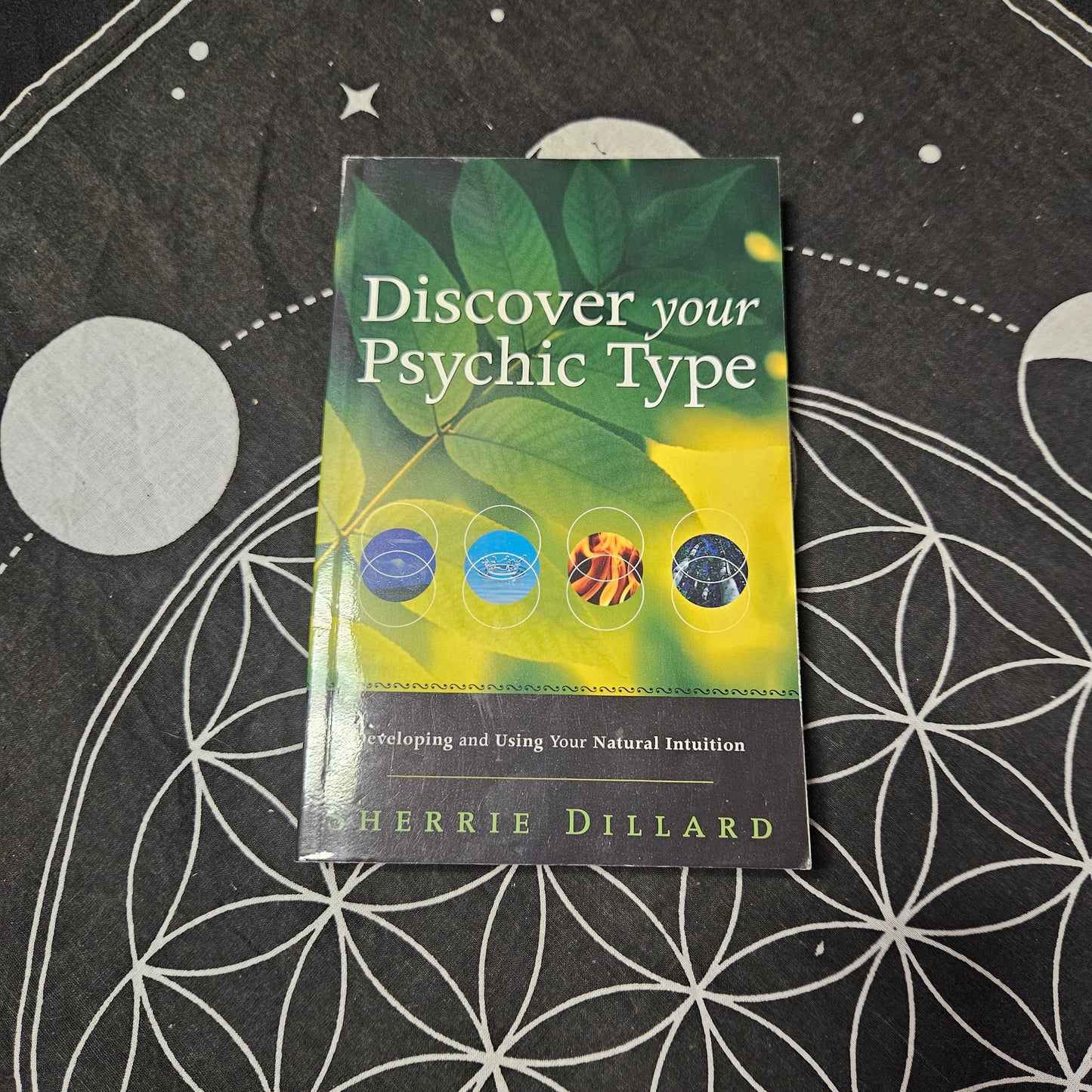 Discover Your Psychic Type: Developing and Using Your Natural Intuition - Used