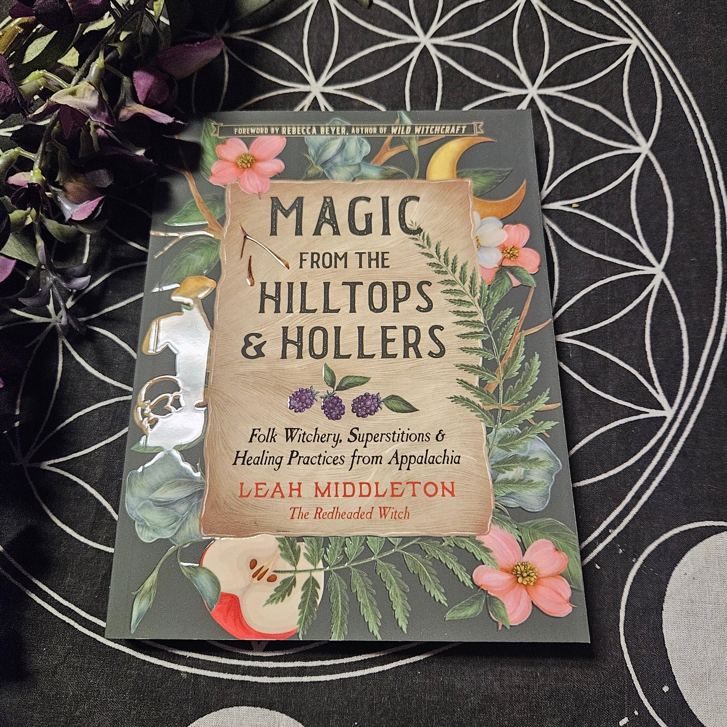 Magic from the Hilltops and Hollers: Folk Witchery, Superstitions, and Healing Practices from Appalachia
