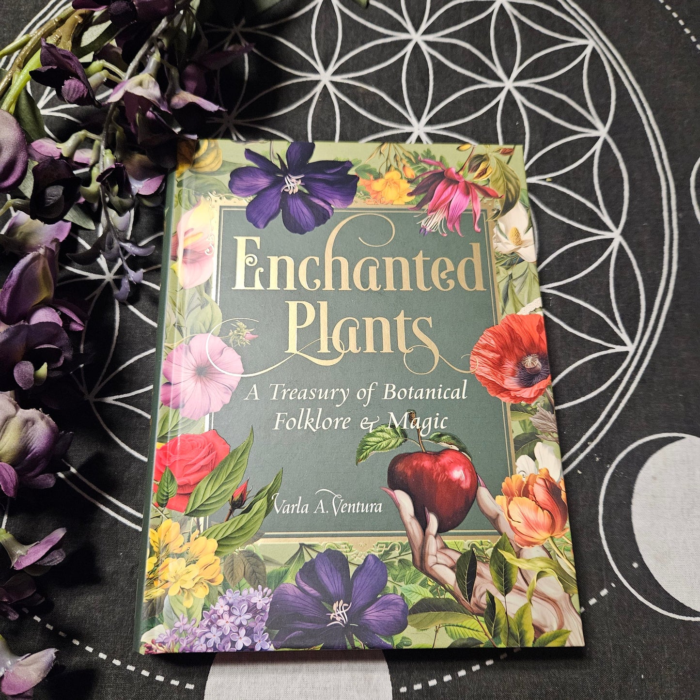 Enchanted Plants: A Treasury of Botanical Folklore and Magic