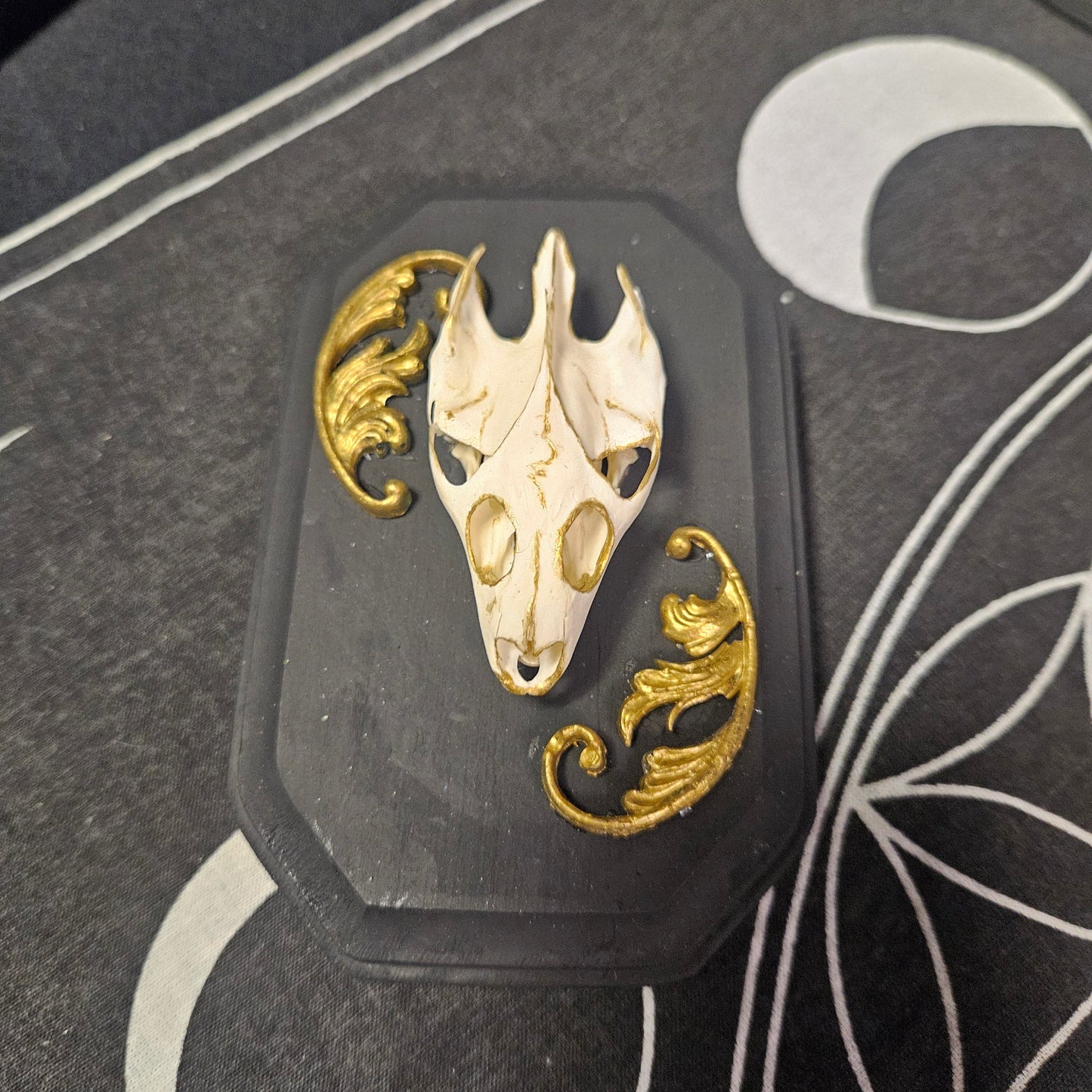 Turtle Skull Wall Art