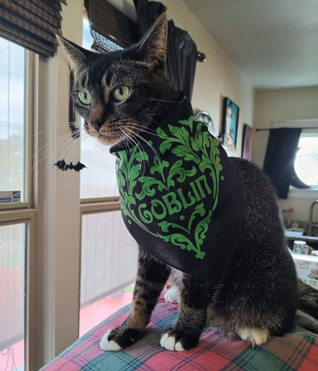 Goblin Pet Bandana