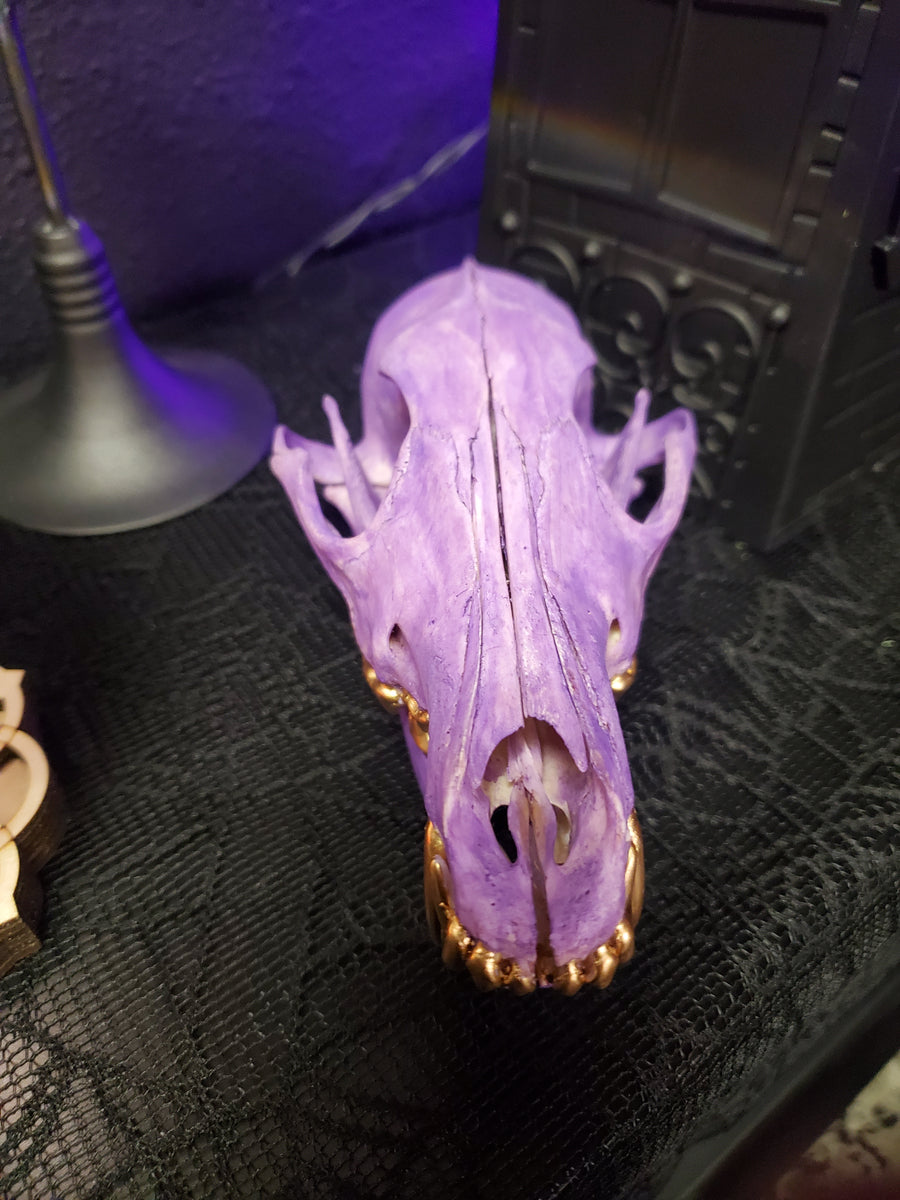 Resin sparkly black outlet and purple coyote skull