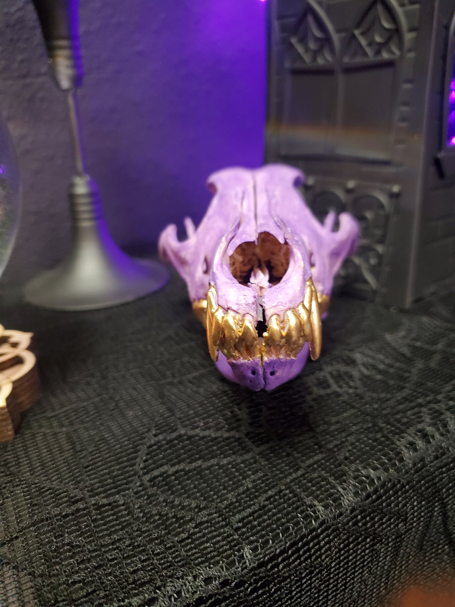 Resin sparkly black and purple 2024 coyote skull