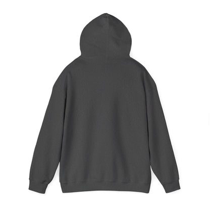 LVA Alumni Unisex Heavy Blend™ Hooded Sweatshirt