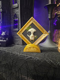 Cat Skull Mini Frame