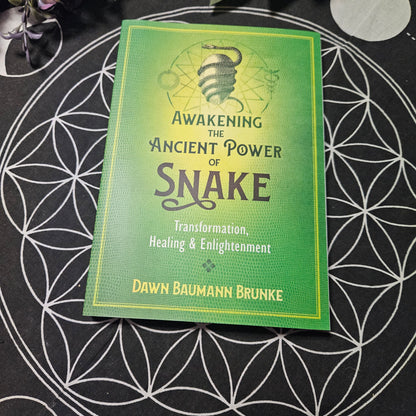 Awakening the Ancient Power of Snake by Dawn Baumann Brunke