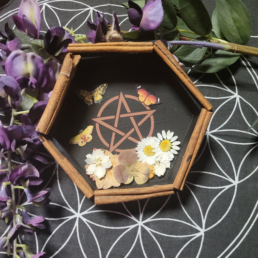 Protection & Prosperity Butterfly Hexagon Diorama