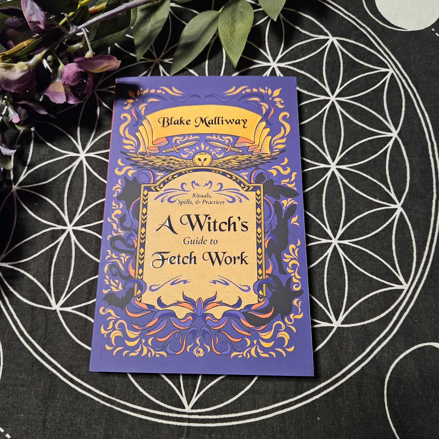 A Witch's Guide to Fetch Work: Rituals, Spells, & Practices