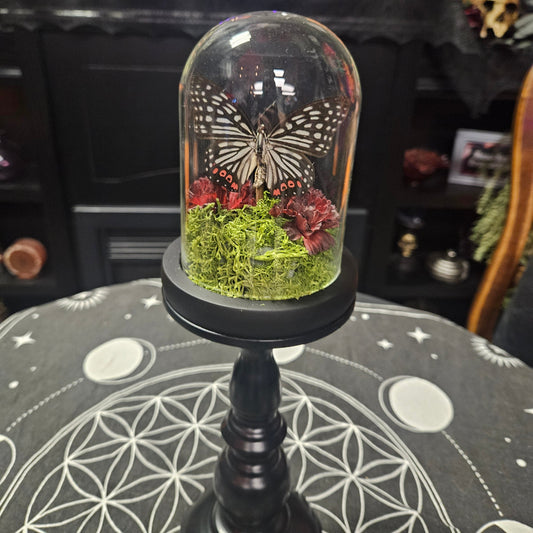 Red Ring Skirt Buttefly & Planchette Cloche