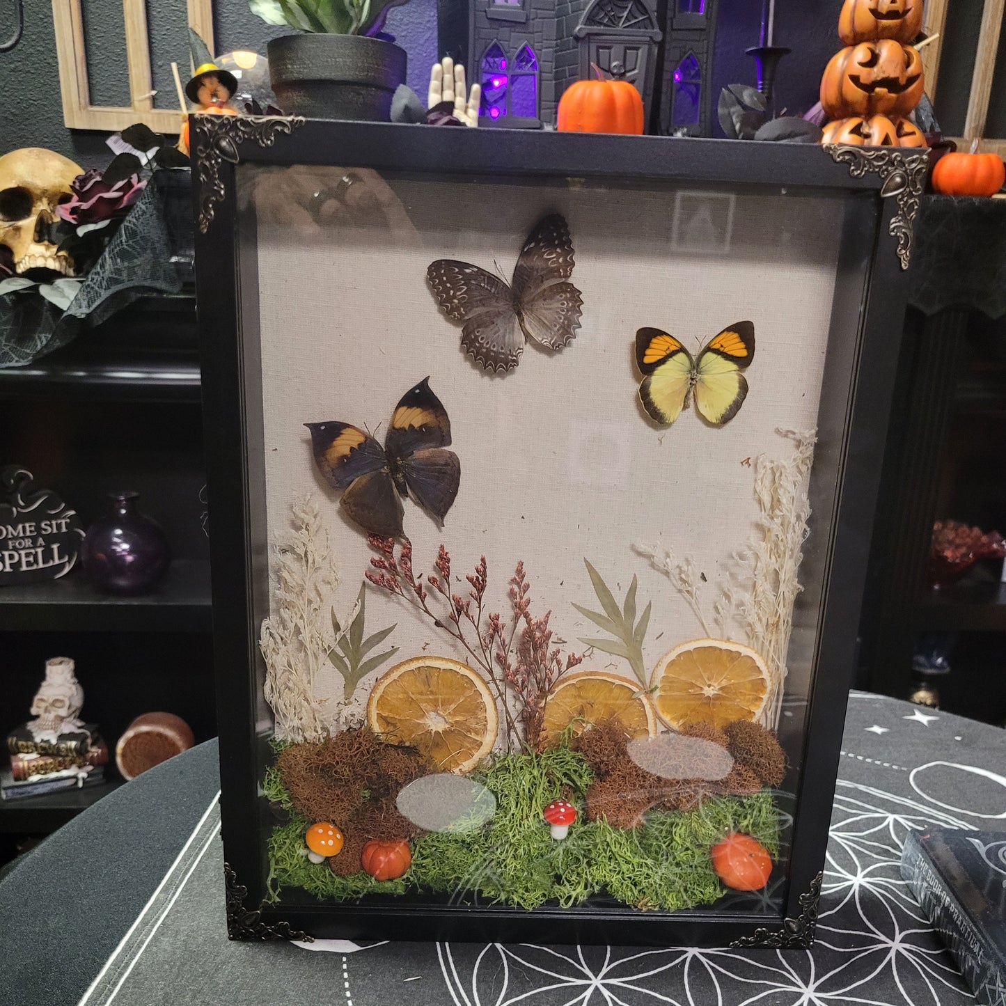 Butterfly & Flowers  Shadow Box