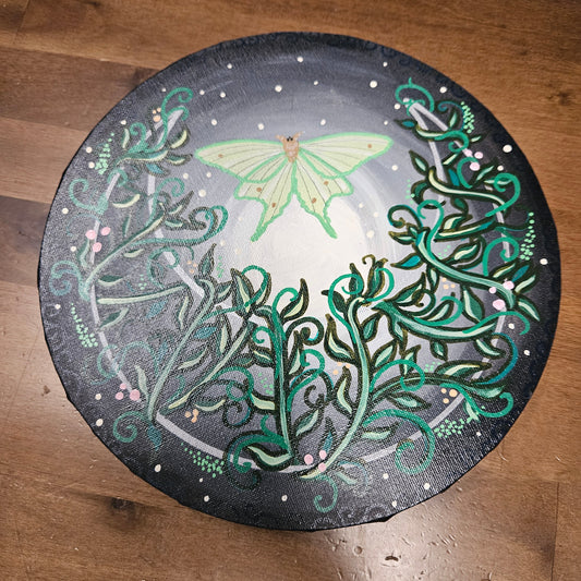 Luna Moth Canvas Painting