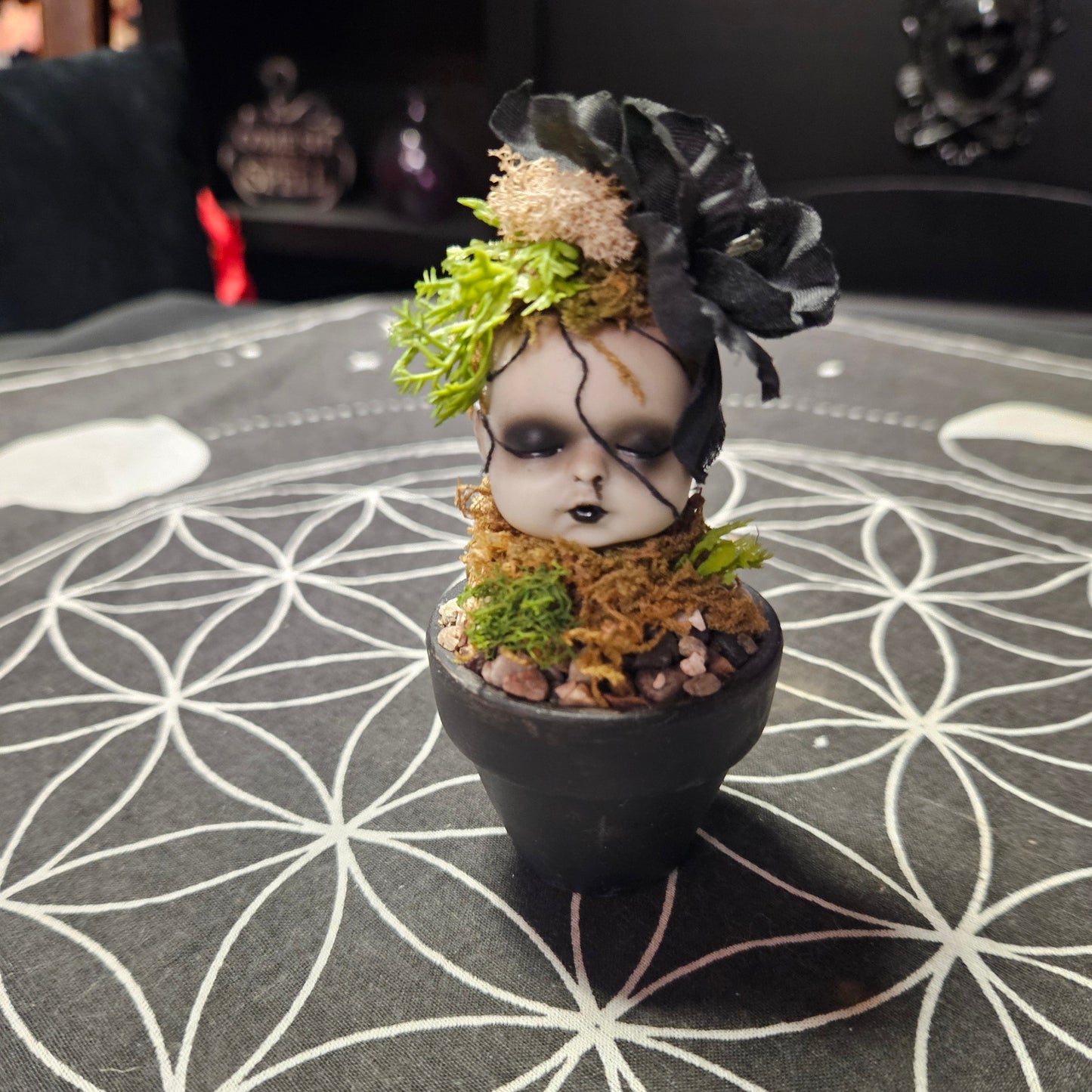 Creepy Doll Sprouts