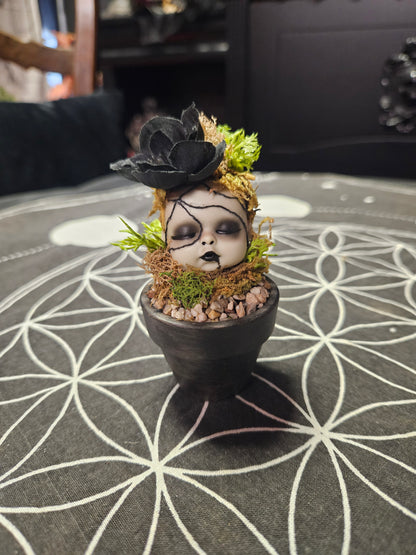 Creepy Doll Sprouts