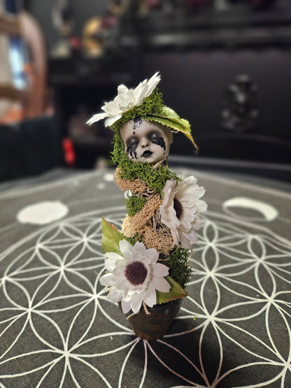 Creepy Doll Sprouts