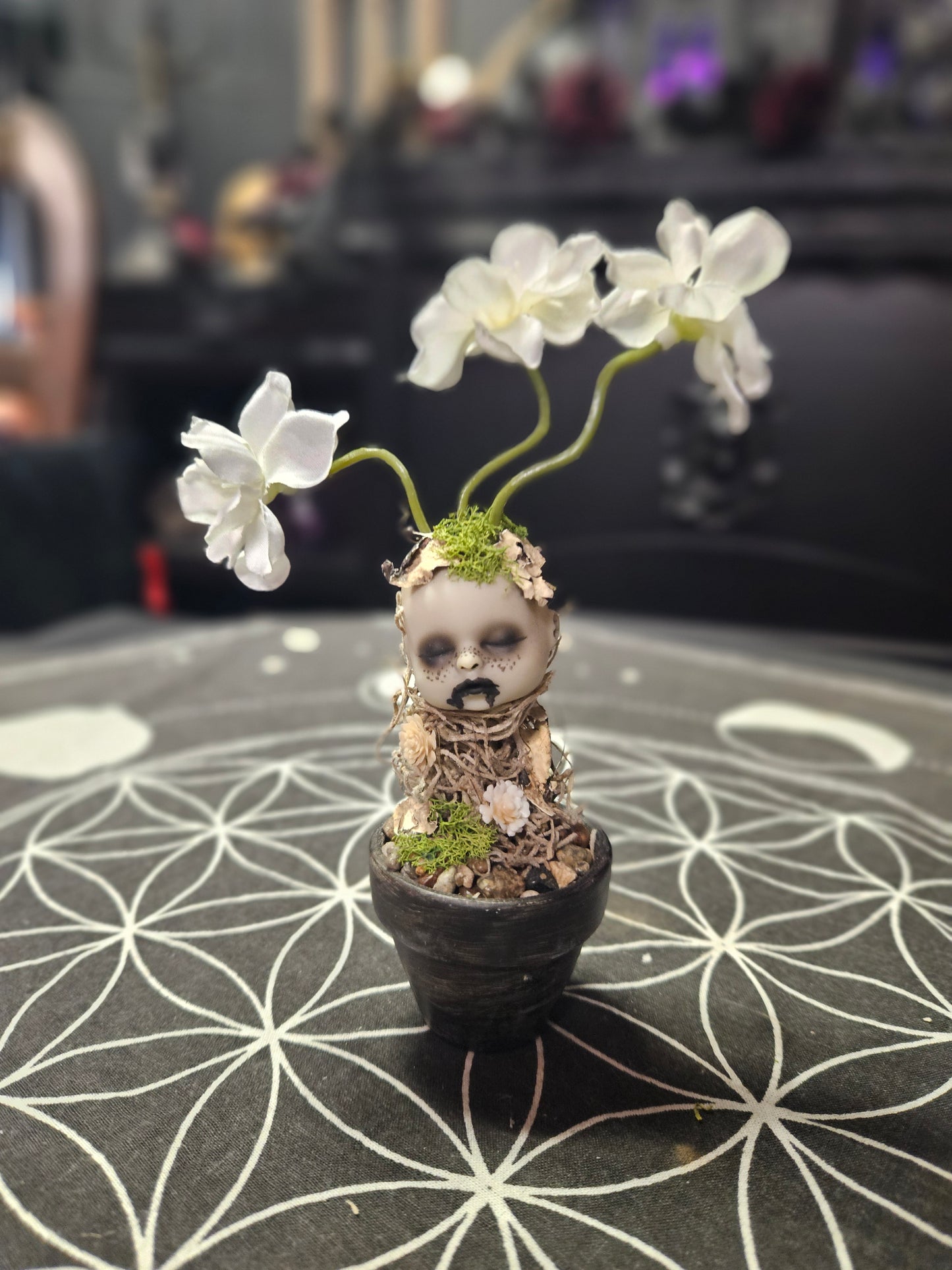 Creepy Doll Sprouts