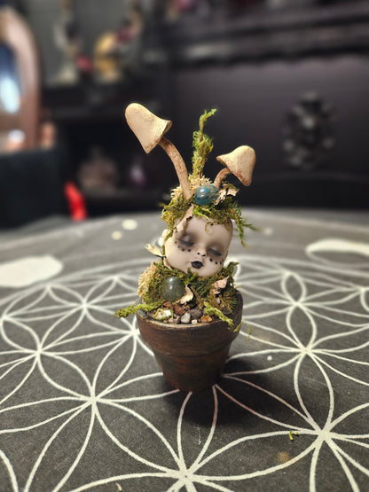 Creepy Doll Sprouts