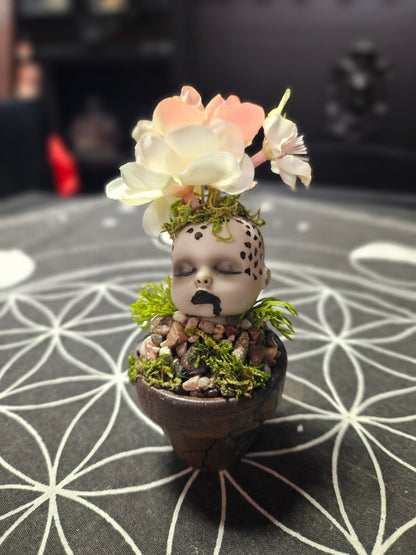 Creepy Doll Sprouts