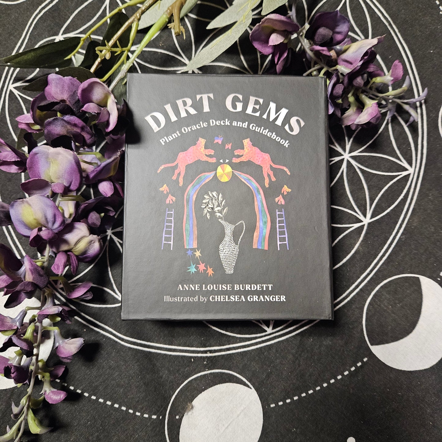 Dirt Gems: Plant Oracle Deck and Guidebook