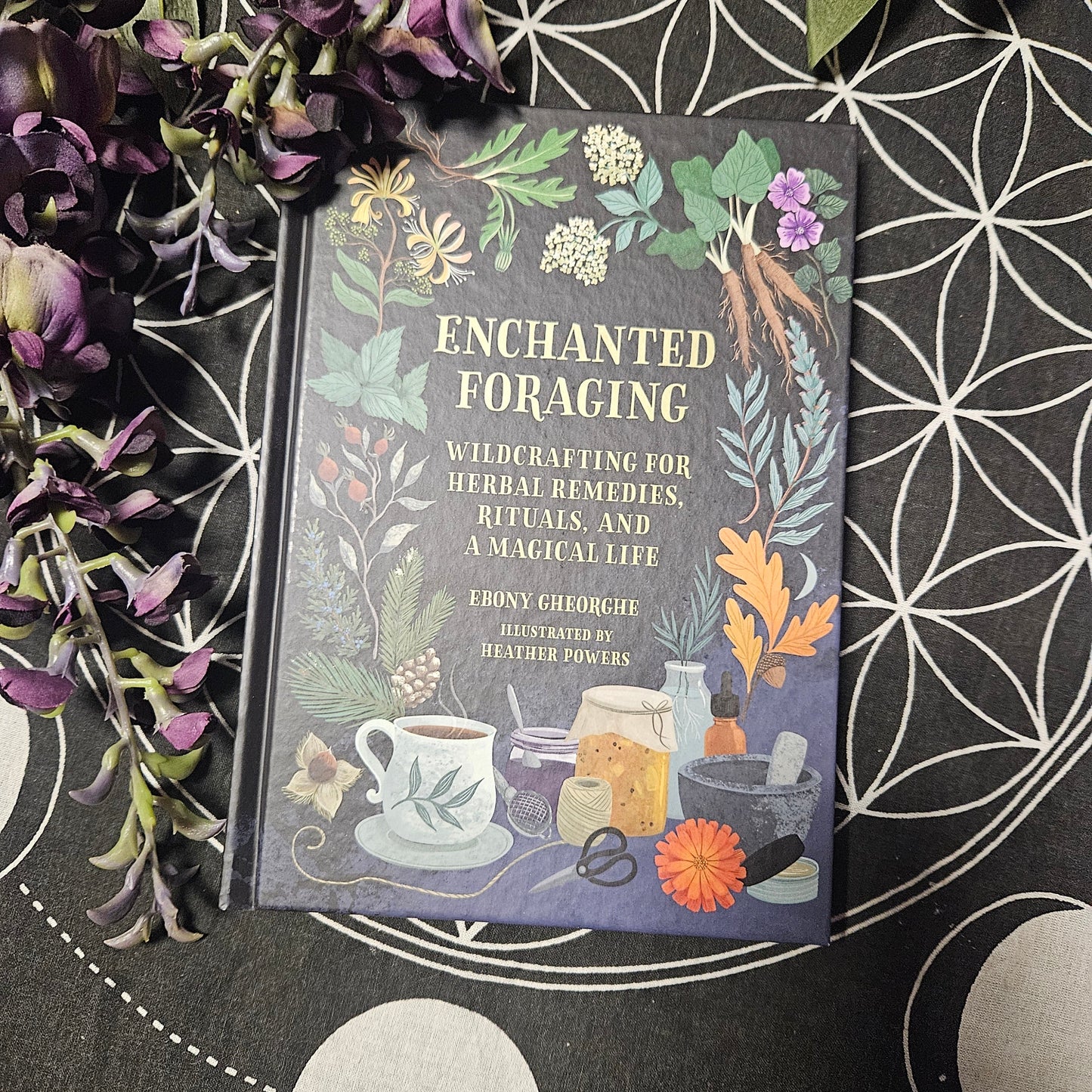 Enchanted Foraging: Wildcrafting for Herbal Remedies, Rituals, and a Magical Life