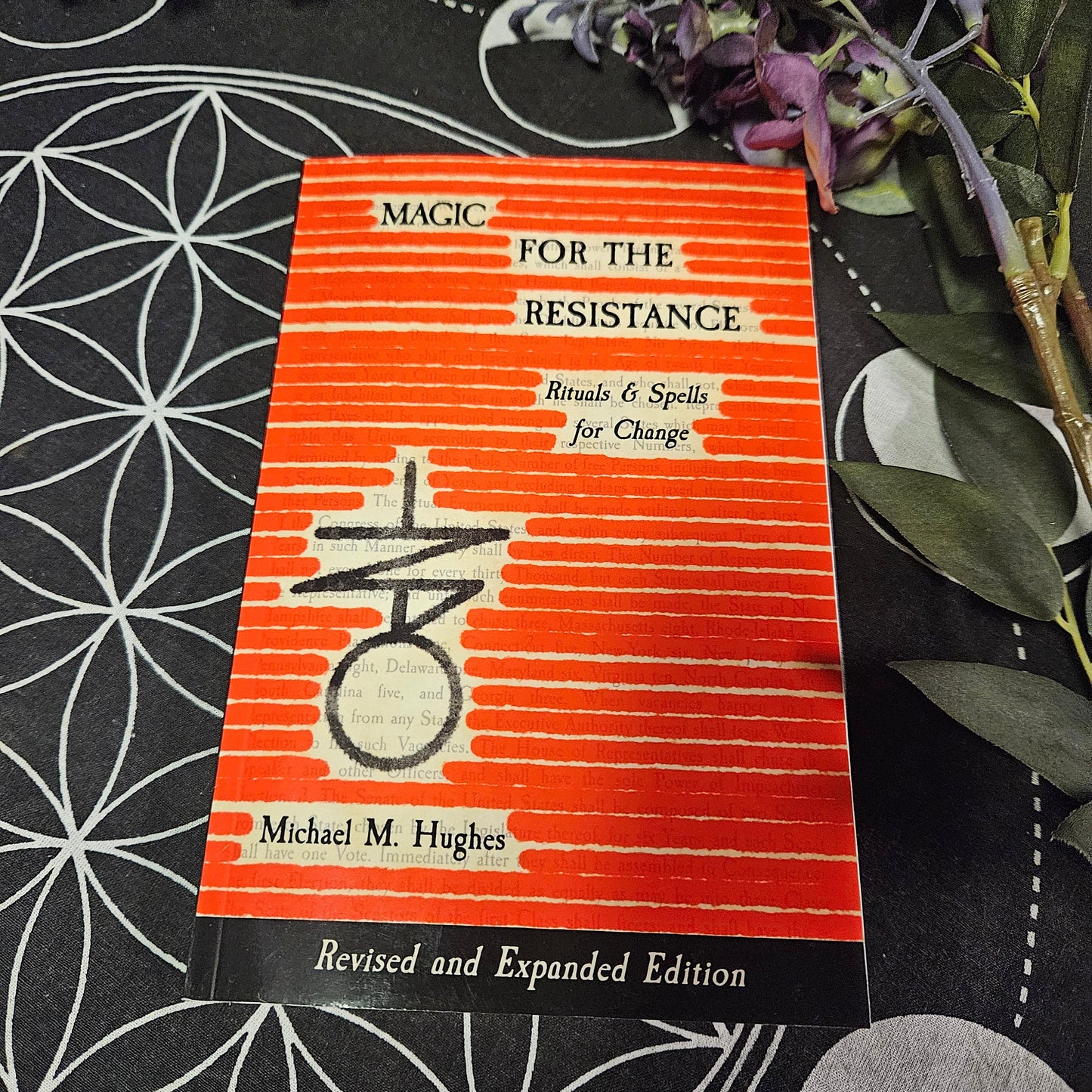 Magic for the Resistance: Rituals & Spells for Change