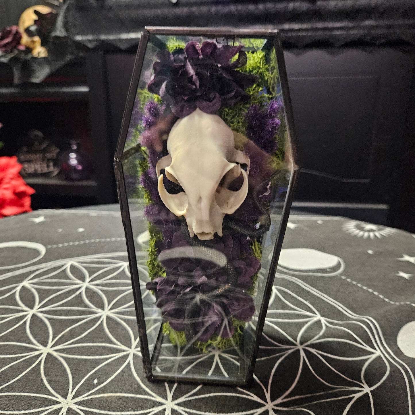 Glass Coffin Faux Cat Skull & Flowers