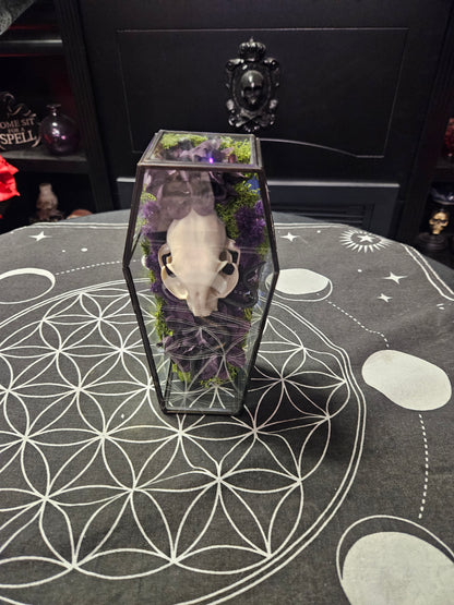 Glass Coffin Faux Cat Skull & Flowers