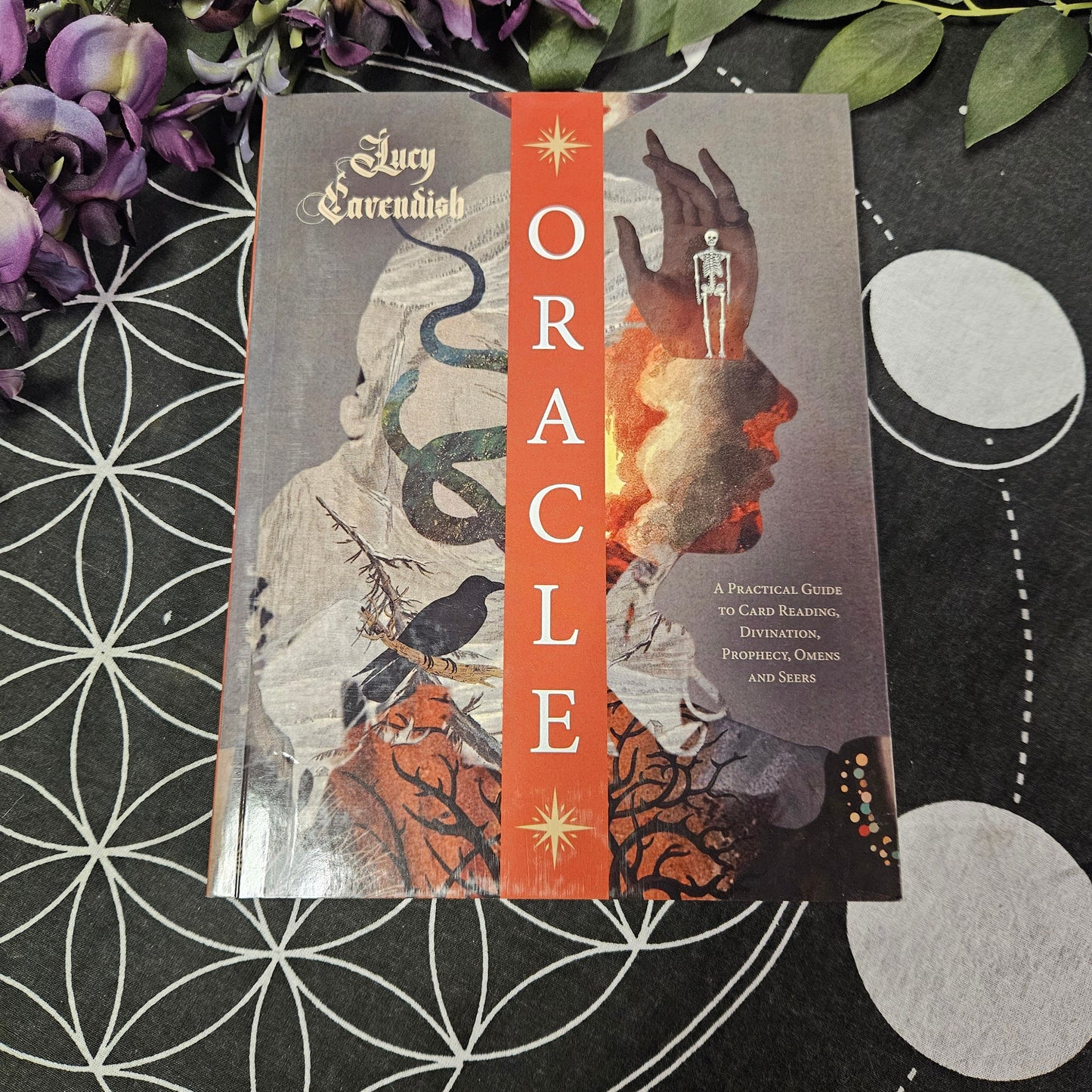 Oracle: A Practical Guide to Card Reading, Divination, Prophecy, Omens, and Seers
