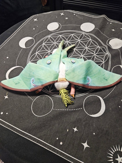 Moth Plush