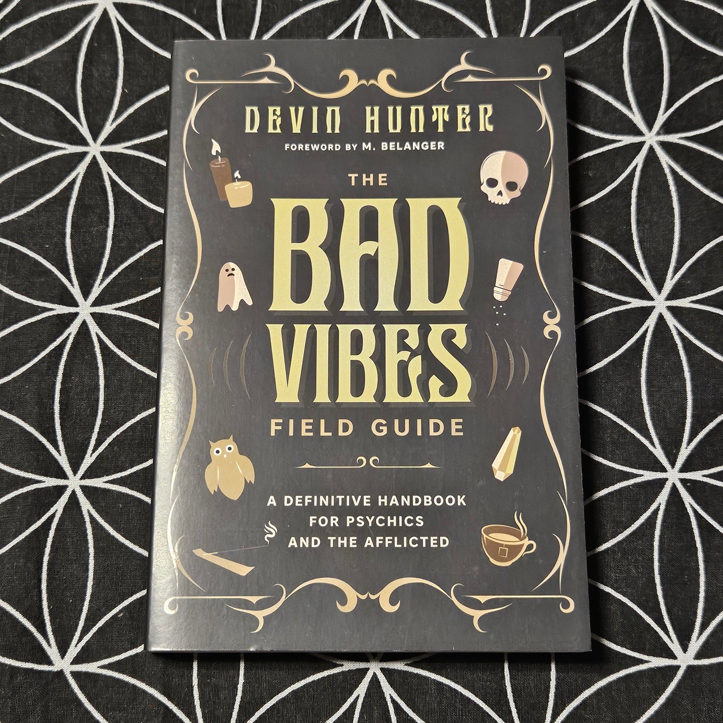 The Bad Vibes Field Guide: A Definitive Handbook for Psychics and the Afflicted