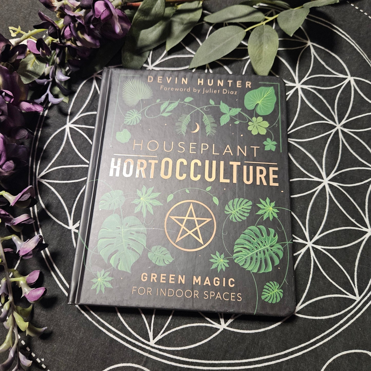 Houseplant Hortocculture