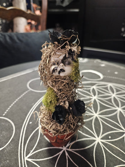 Creepy Doll Sprouts