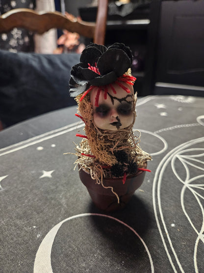 Creepy Doll Sprouts