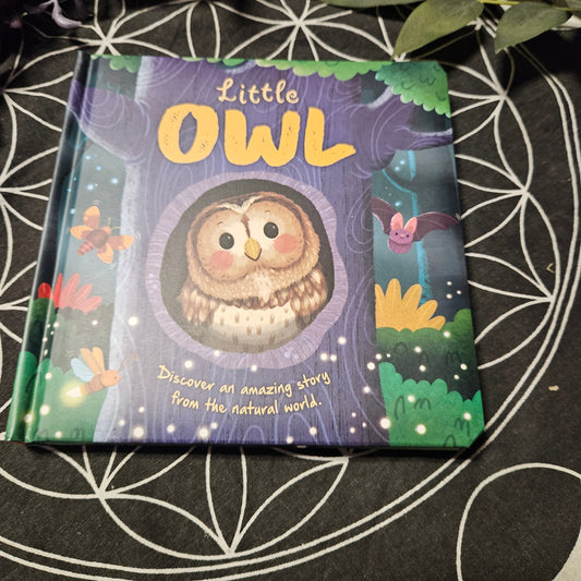 Nature Stories: Little Owl-Discover an Amazing Story from the Natural World by IglooBooks