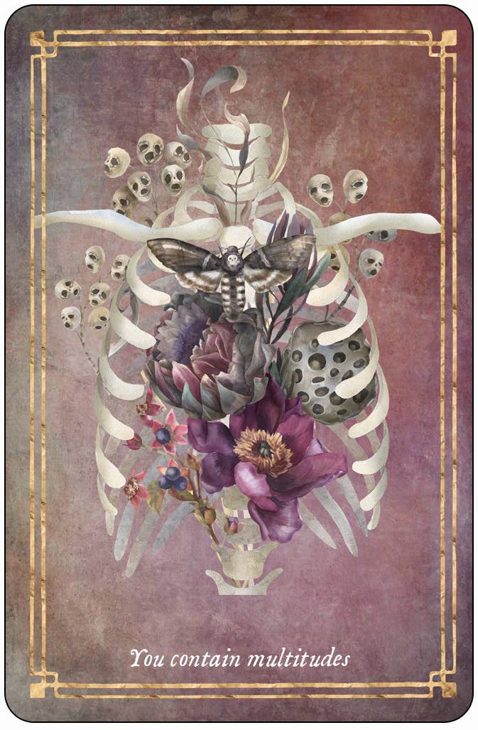 Memento Mori: 36 Mini Affirmation Cards to Embrace Life