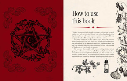 Witch's Magickal Spellbook by Priestess Moon