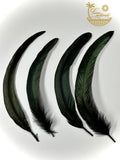 Black Feathers for Smudging
