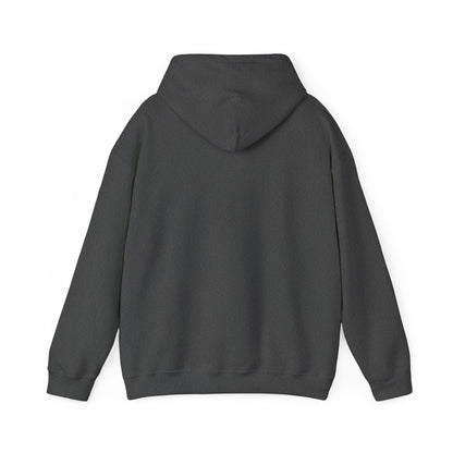 LVA Alumni Unisex Heavy Blend™ Hooded Sweatshirt