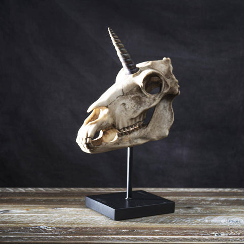 Unicorn Skull on Stand