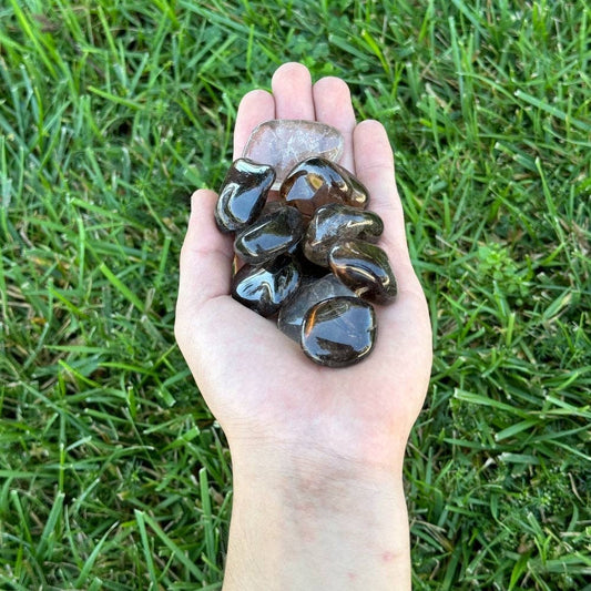 Smoky Quartz Tumbled