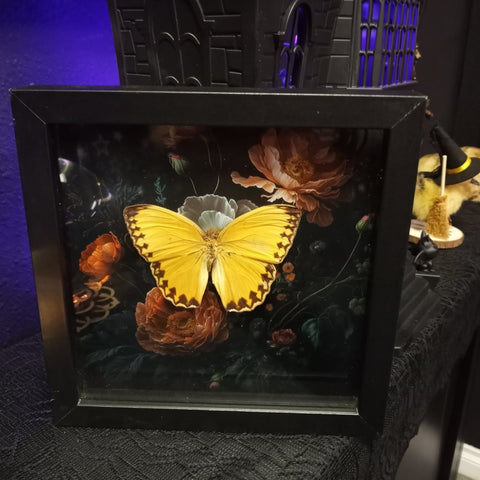 Yellow Floral Butterfly Shadowbox