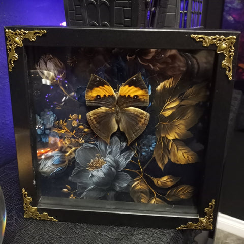 Midnight & Gold Butterfly Shadowbox