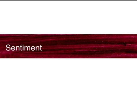 Sentiment - Our Darling Lip Gloss