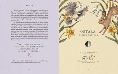 Wheel of the Year by Fiona Cook