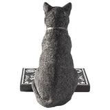 Black Cat with Spirit Board