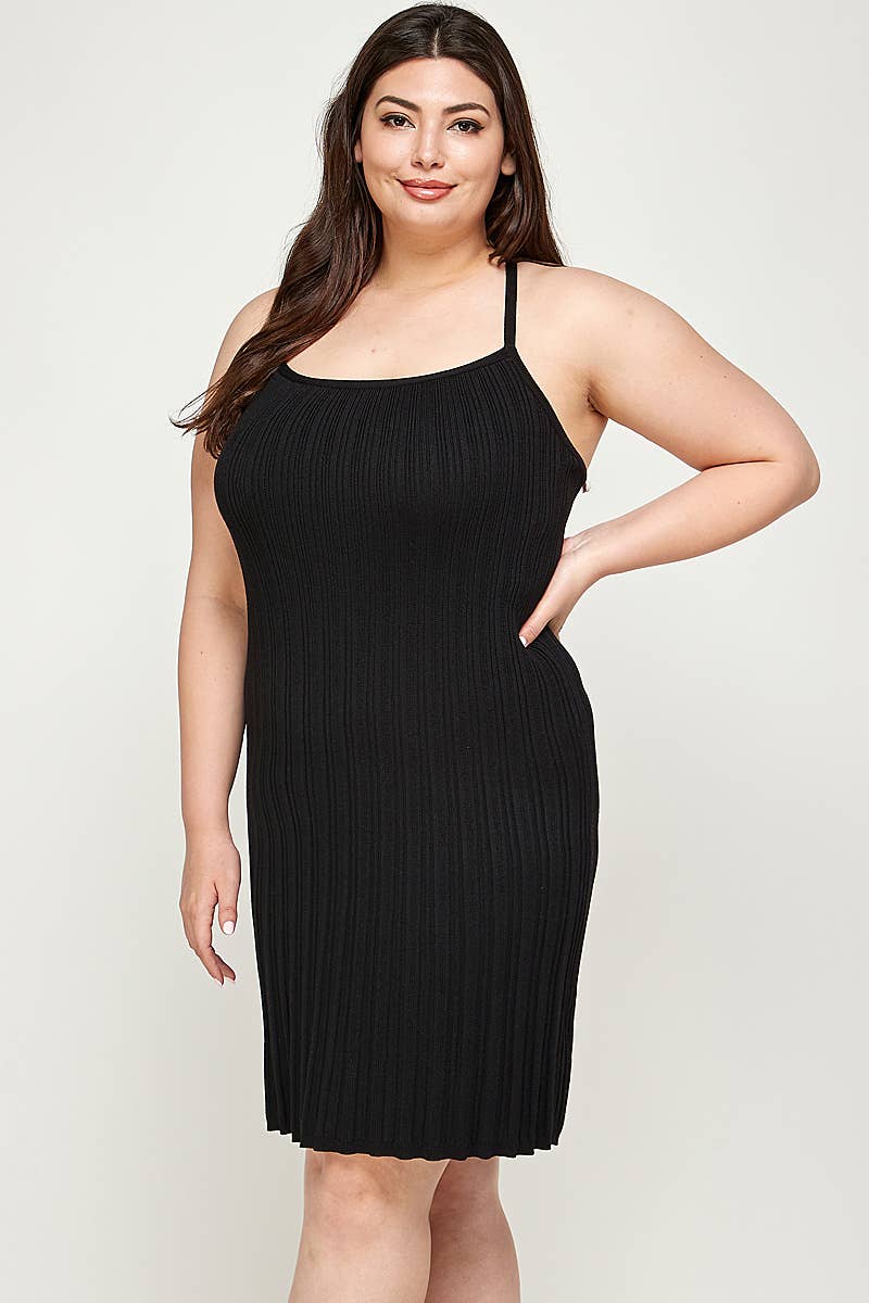 Pleated Knit Fit and Flare Dress | Plus