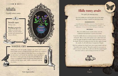 Witch's Magickal Spellbook by Priestess Moon