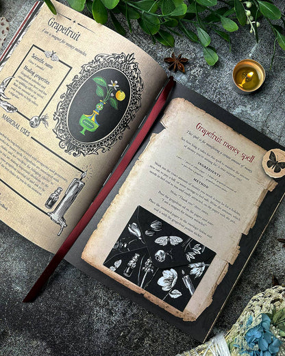 Witch's Magickal Spellbook by Priestess Moon