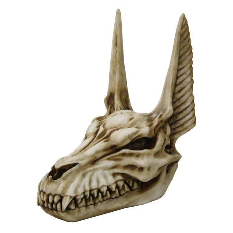 Anubis Jackal Skull