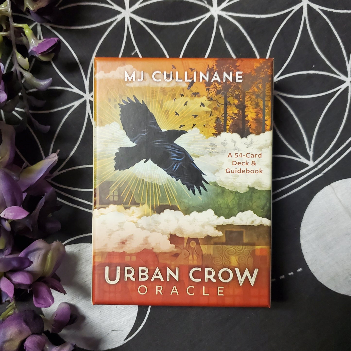 Urban Crow Oracle: A 54-Card Deck and Guidebook